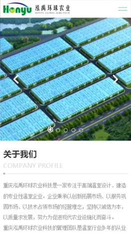 重慶網(wǎng)站建設(shè)