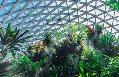 重慶泓禹環(huán)球農業(yè)科技有限公司