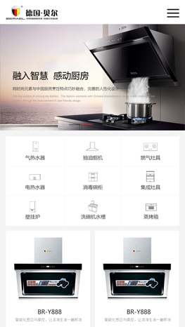 重慶網(wǎng)站建設(shè)